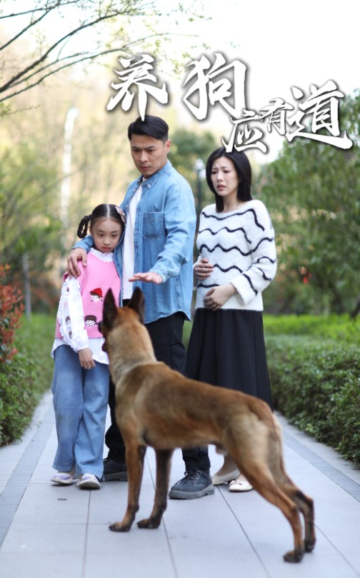 养狗应有道