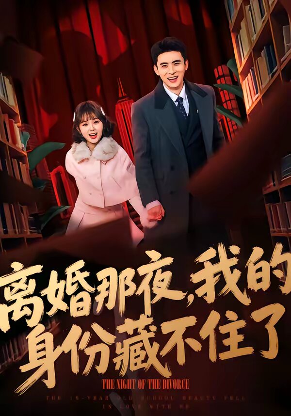 离婚那夜，我的身份藏不住了